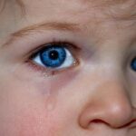 幼なじみＡ「末っ子以外を何日か泊めさせて！」私『仕事だからムリだよ。』翌日、A「連れて来たよ、子供たち（4人）マンションの下に置いておくね^^」社長に事情を話し、帰ってみると・・・→結果