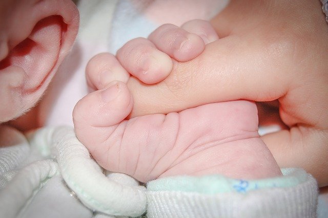 義兄嫁に下の子をクレクレされた。義兄嫁「くれるって約束したら出る」下の子抱いてトイレにたてこもられた。