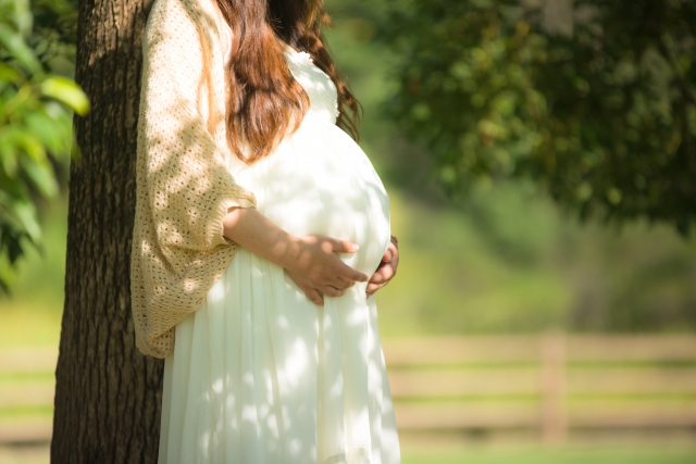 臨月妊婦です。赤信号停車中に追突された。私「保険会社どこですか？」女「うちの保険使って修理する気ですか？！」私の体調を1ミクロンも心配することなく 号泣して逆ギレ→